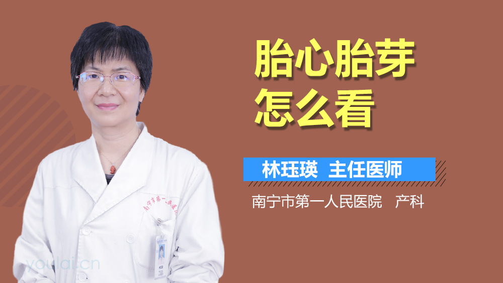 胎心胎芽怎么看