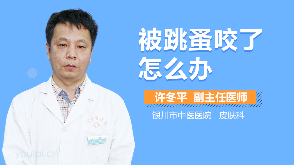 被跳蚤咬了怎么办