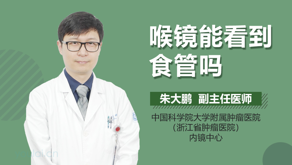 喉镜能看到食管吗