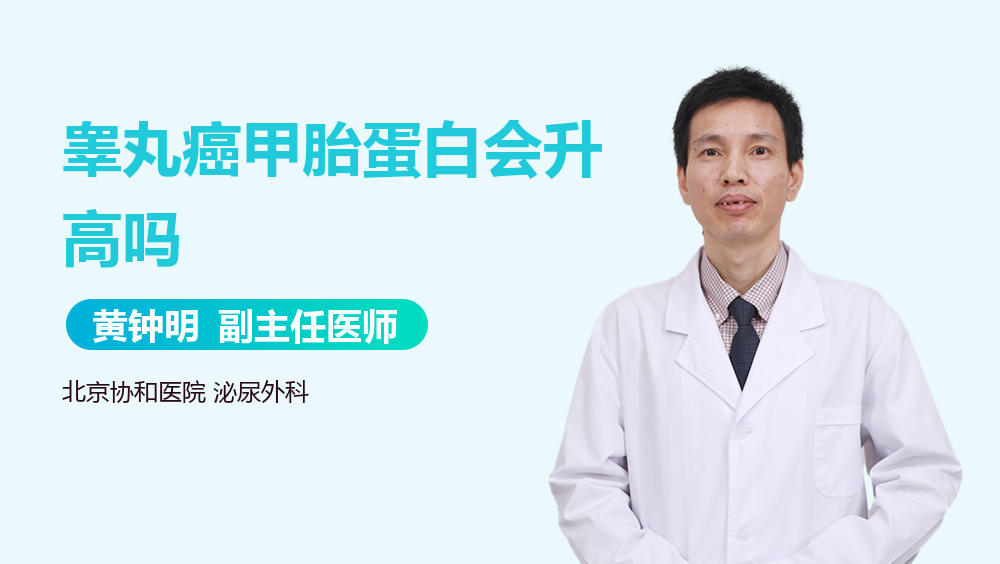 睾丸癌甲胎蛋白会升高吗