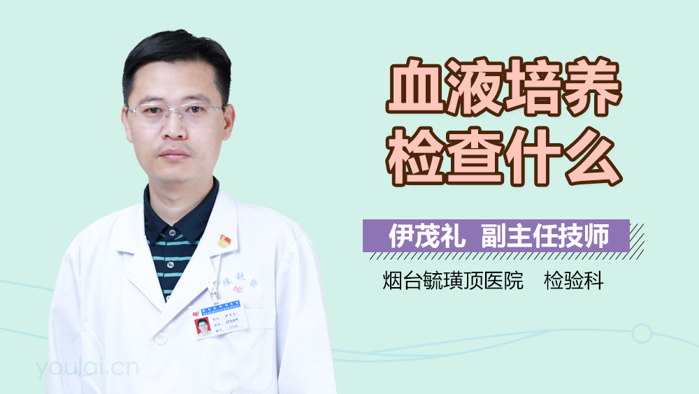 血液培养检查什么