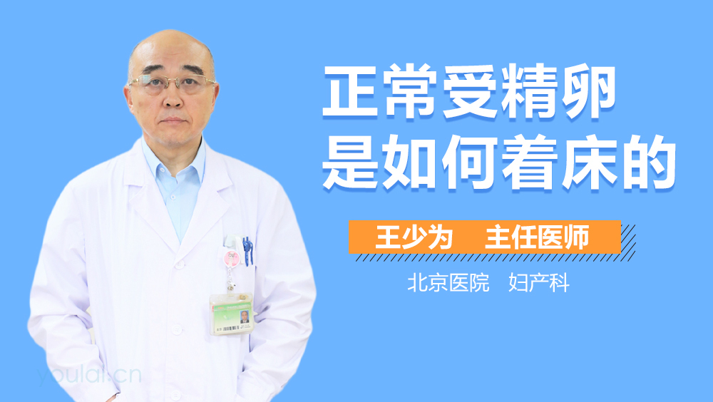 正常受精卵是如何着床的