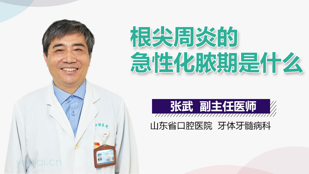 根尖周炎的急性化脓期是什么