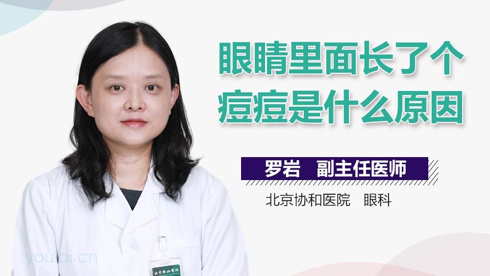 眼睛里面长了个痘痘是什么原因