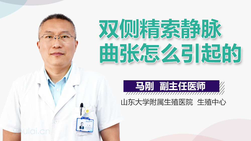 双侧精索静脉曲张怎么引起的