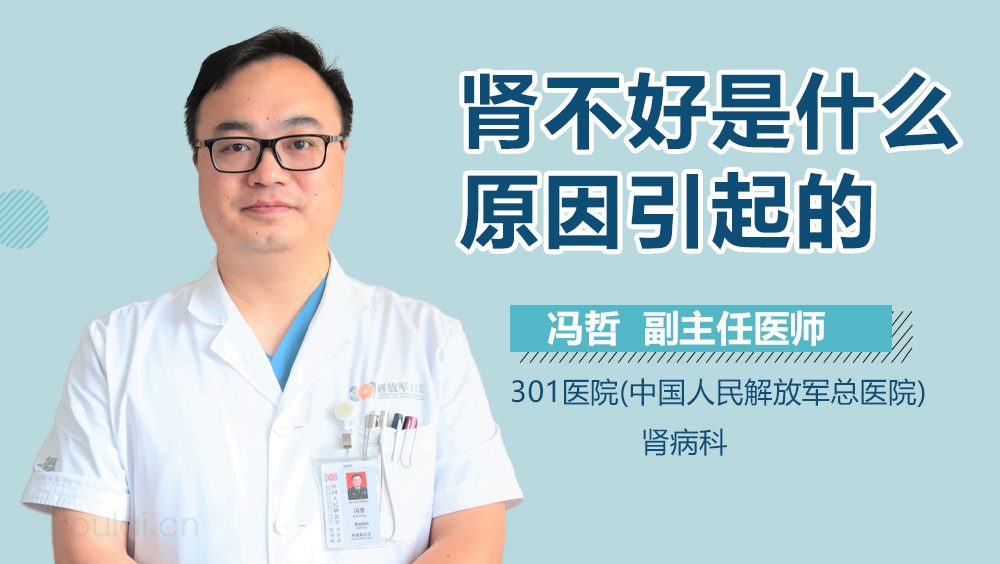 肾不好是什么原因引起的