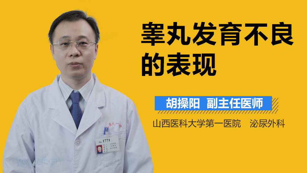 睾丸发育不良的表现