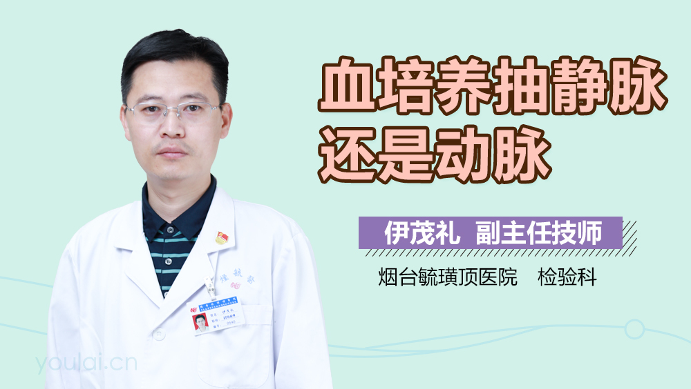 血培养抽静脉还是动脉