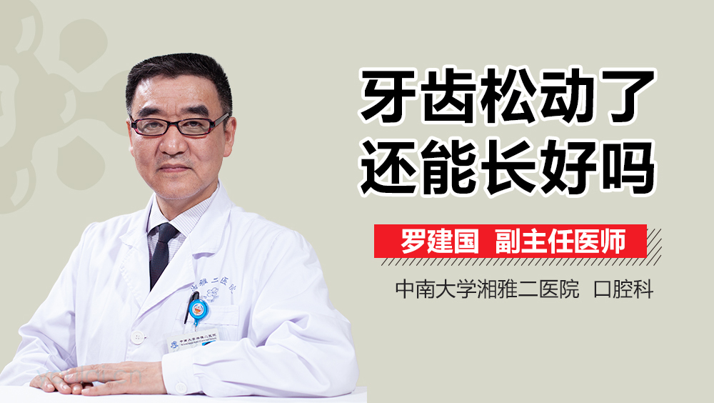 牙齿松动了还能长好吗