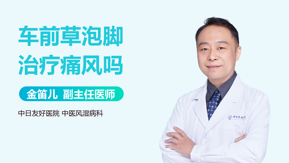 车前草泡脚治疗痛风吗