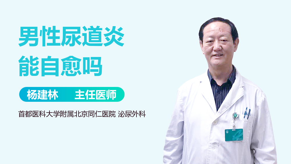 男性尿道炎能自愈吗