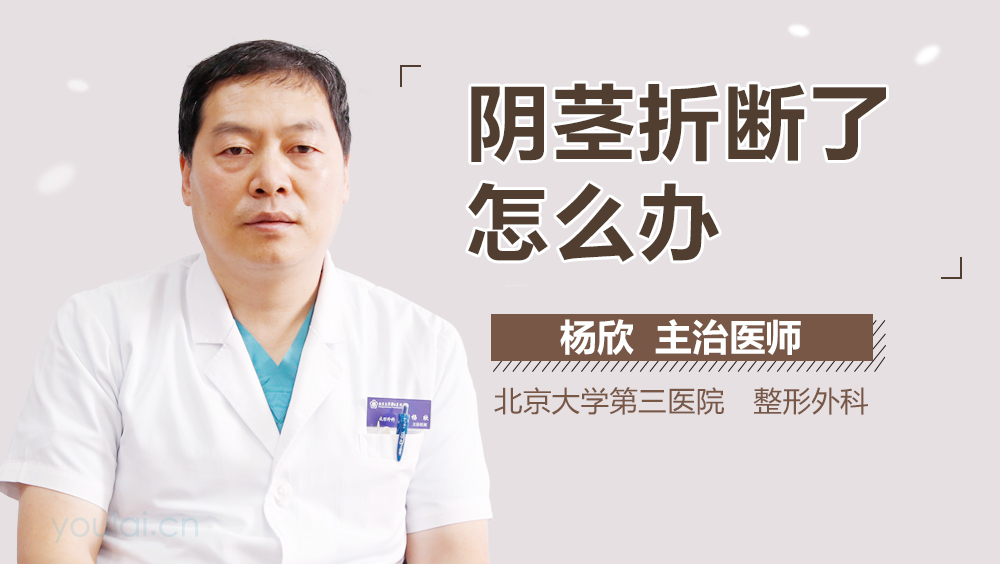 阴茎折断了怎么办