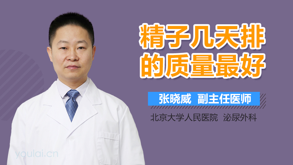 精子几天排的质量最好