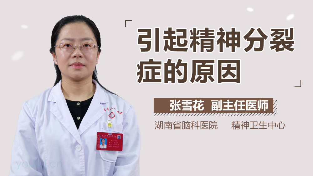 引起精神分裂症的原因