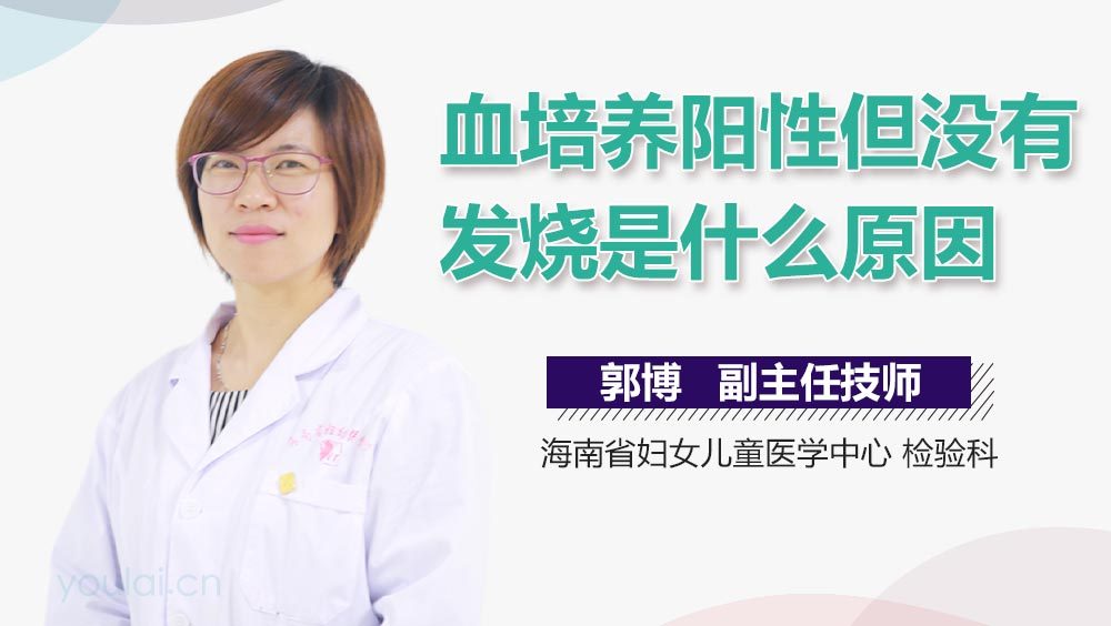 血培养阳性但没有发烧是什么原因