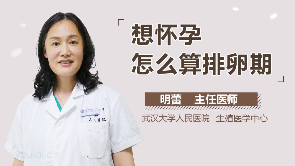 想怀孕怎么算排卵期