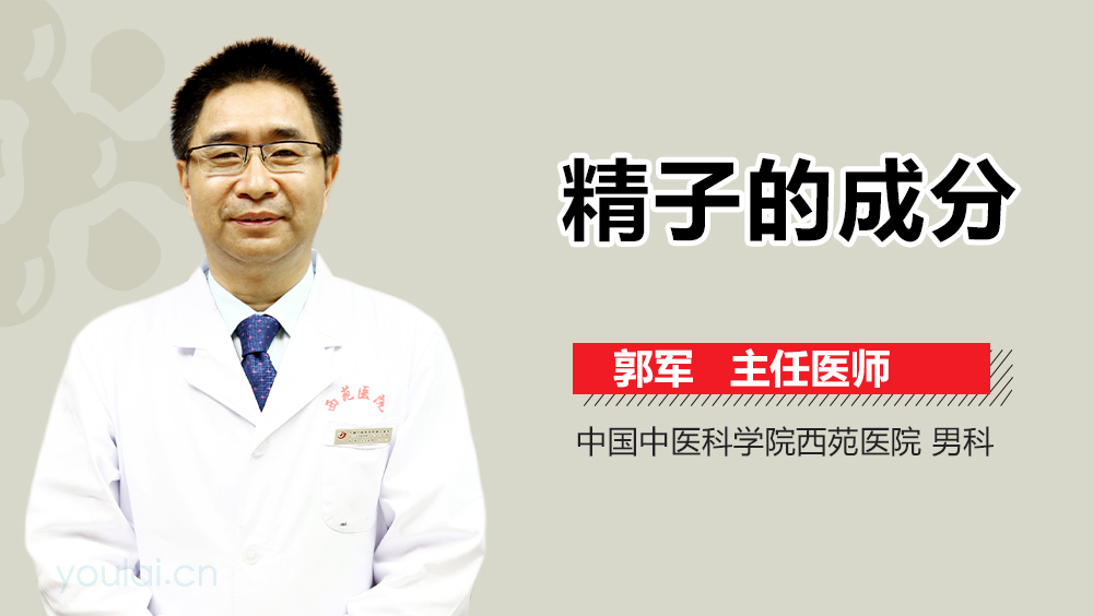 精子的成分