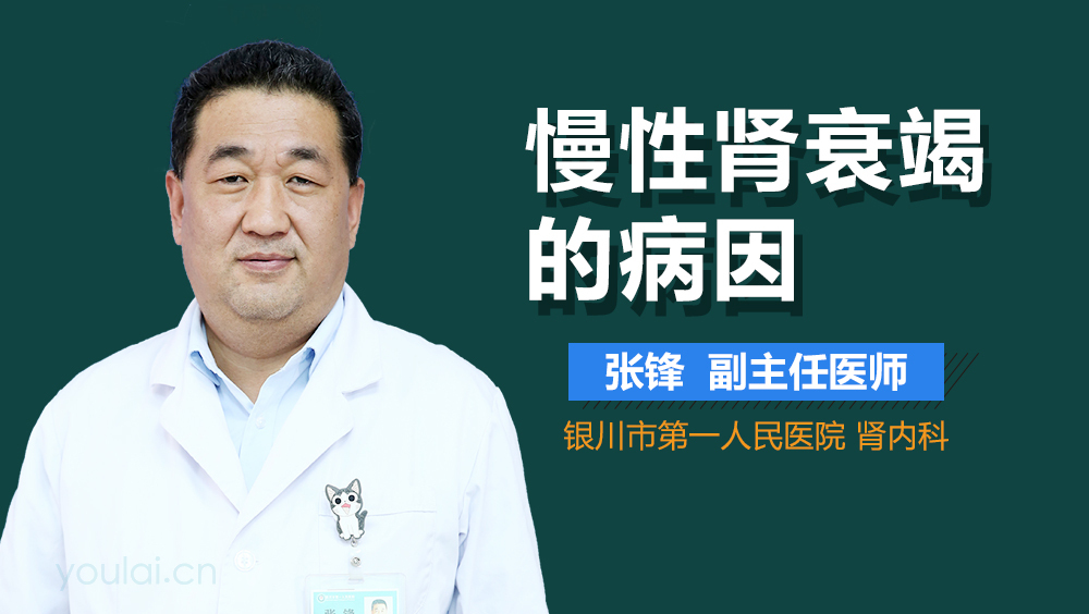 慢性肾衰竭的病因