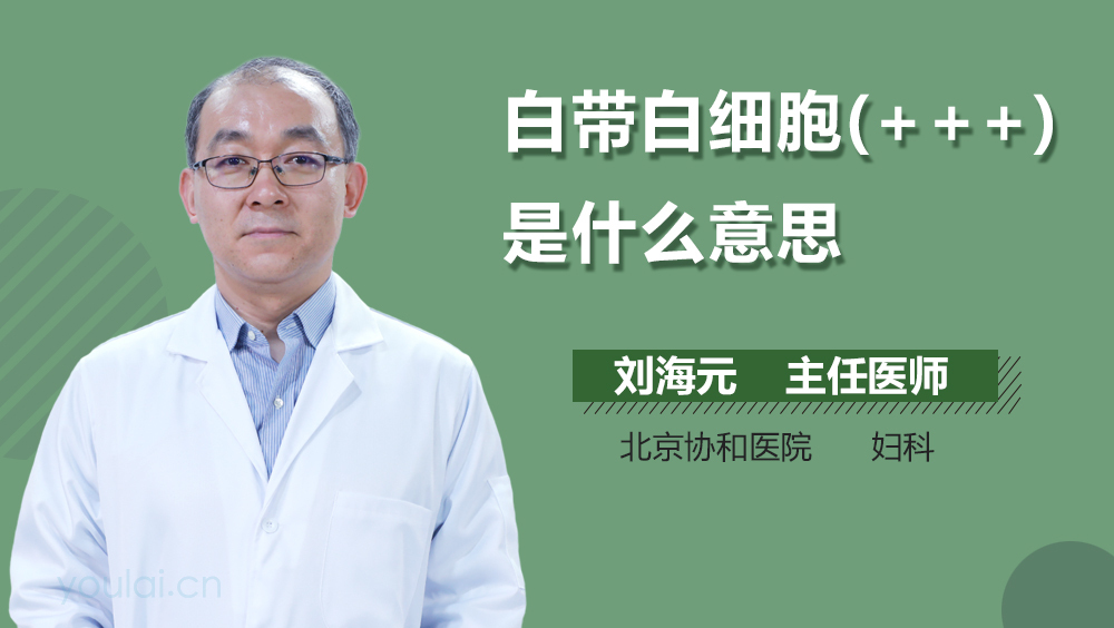 白带白细胞(+++)是什么意思