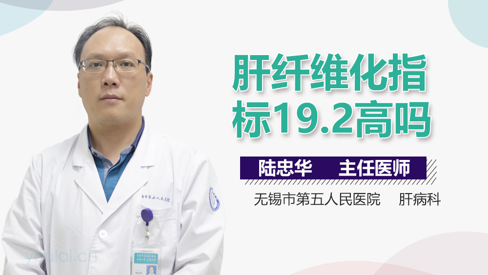 肝纤维化指标19.2高吗