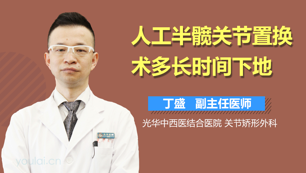 人工半髋关节置换术多长时间下地