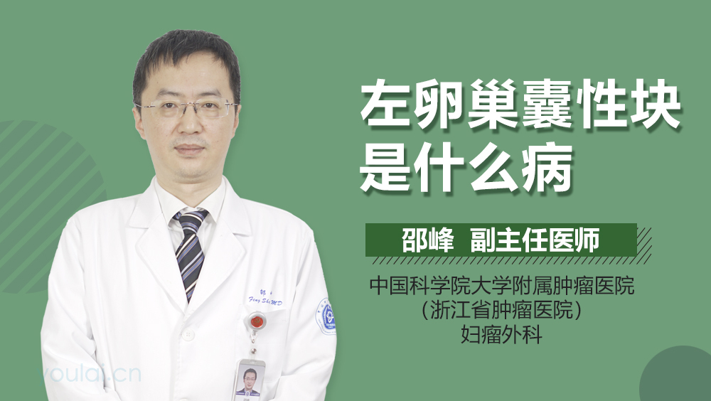 左卵巢囊性块是什么病