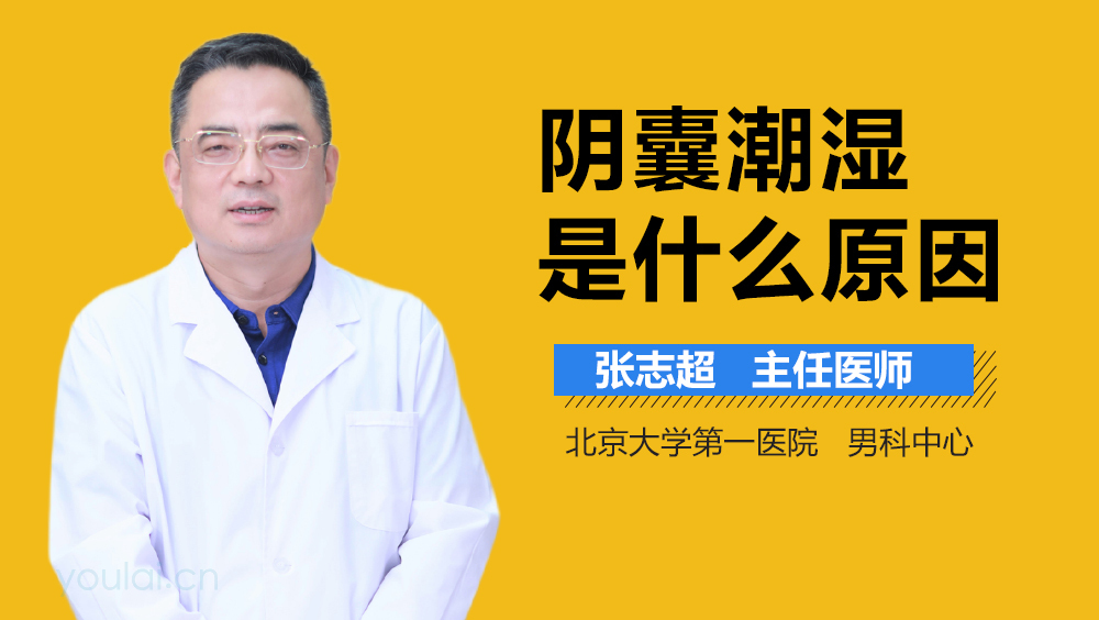 阴囊潮湿是什么原因