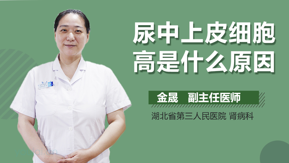 尿中上皮细胞高是什么原因