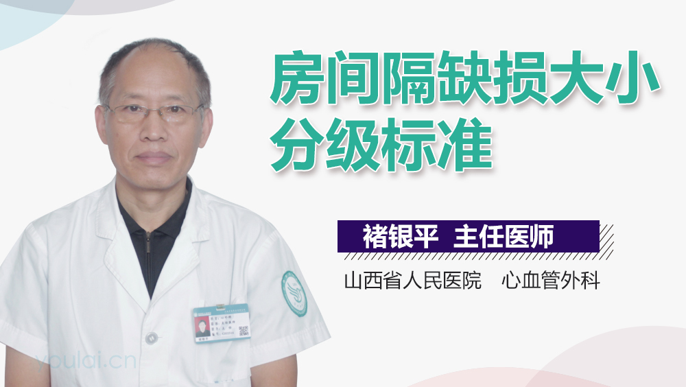 房间隔缺损大小分级标准