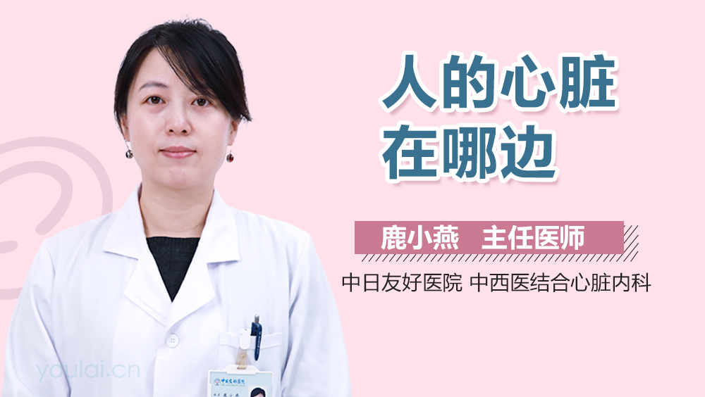 人的心脏在哪边
