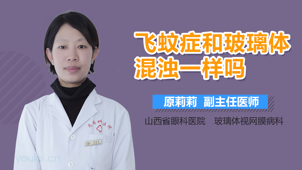 飞蚊症和玻璃体混浊一样吗