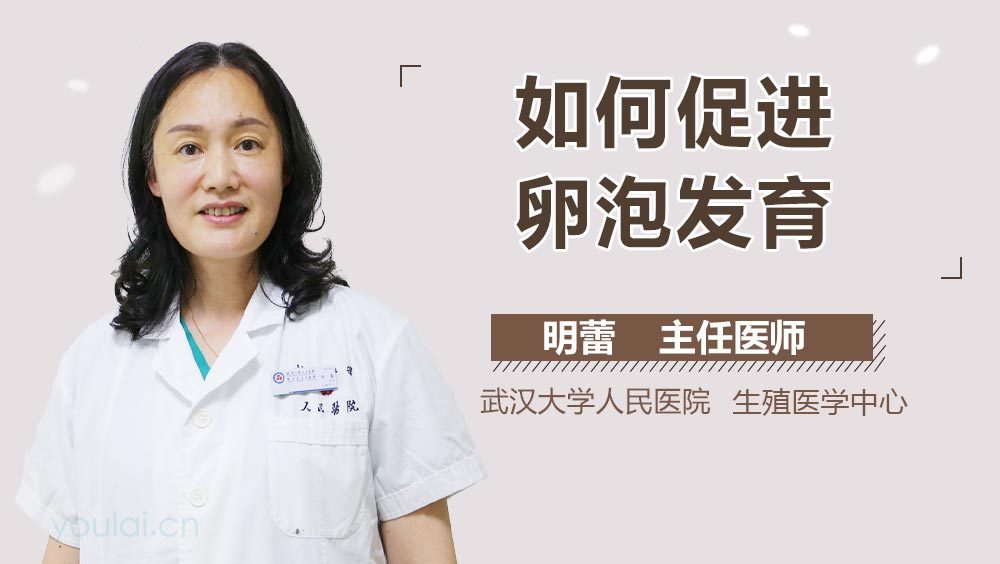 如何促进卵泡发育