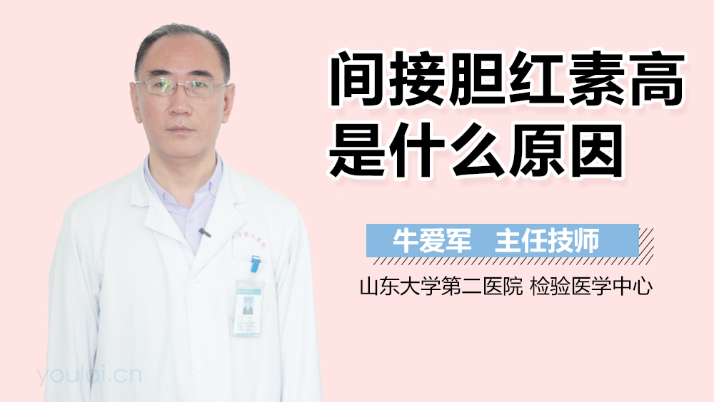 间接胆红素高是什么原因