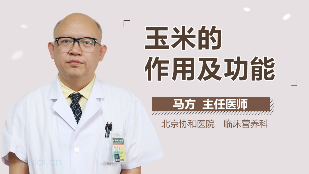 玉米的作用及功能