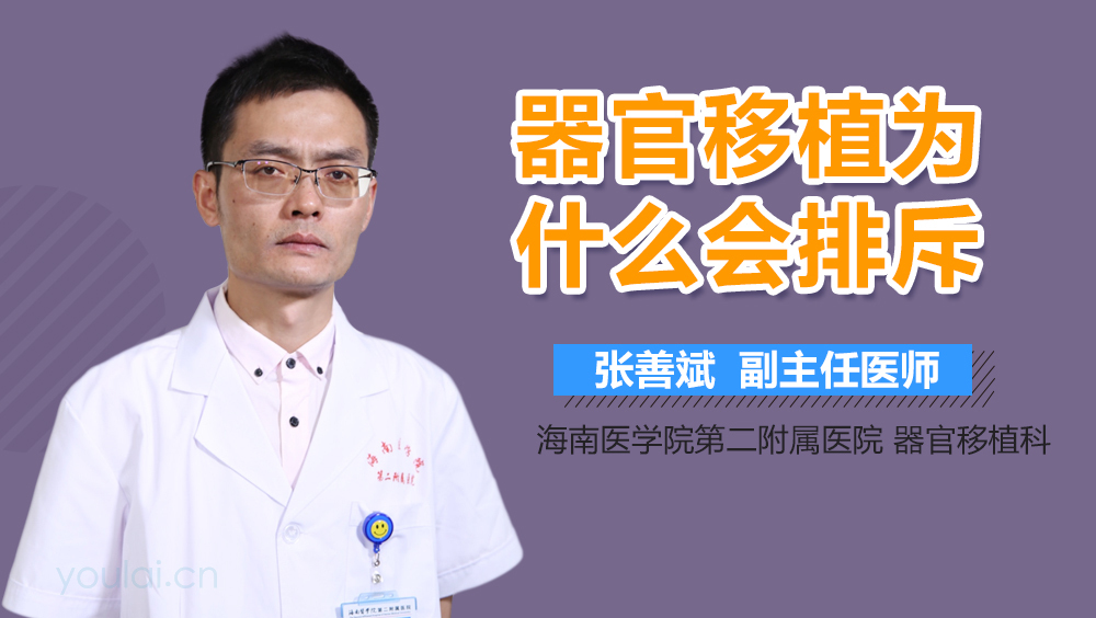 器官移植为什么会排斥