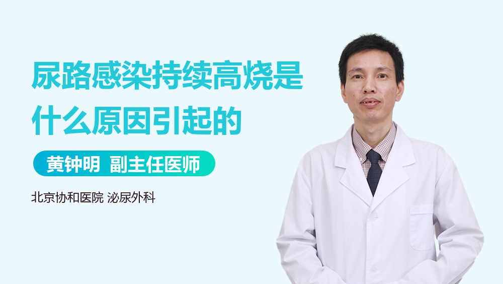 尿路感染持续高烧是什么原因引起的