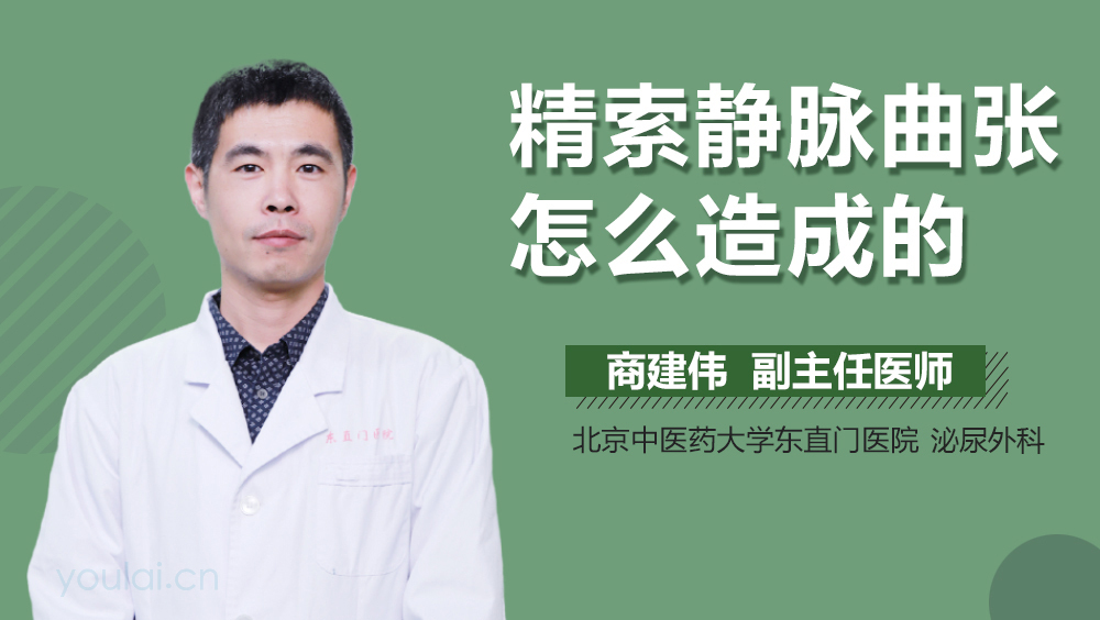 精索静脉曲张怎么造成的