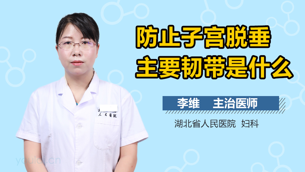 防止子宫脱垂主要韧带是什么