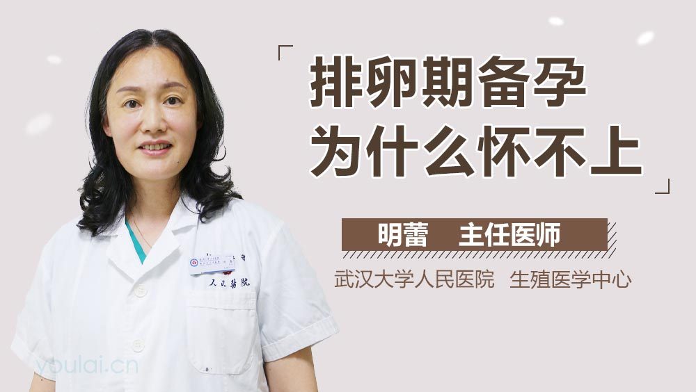 排卵期备孕为什么怀不上