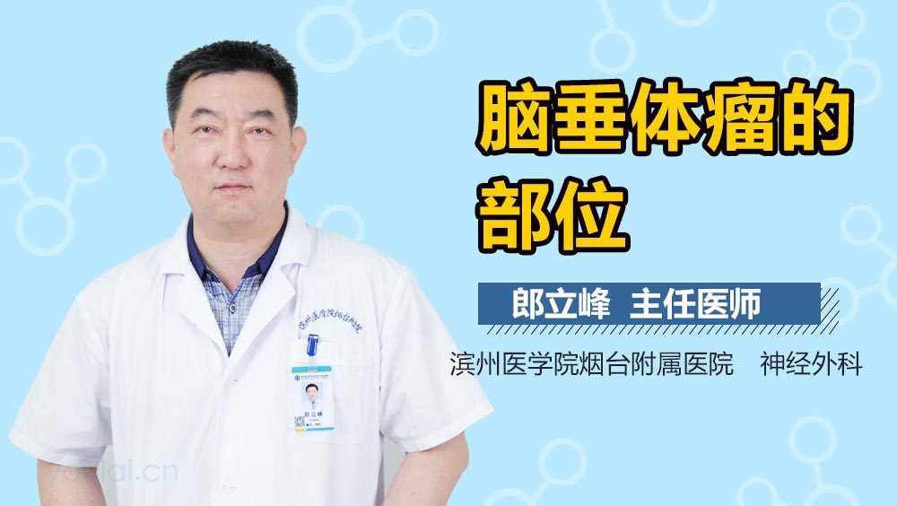 脑垂体瘤的部位