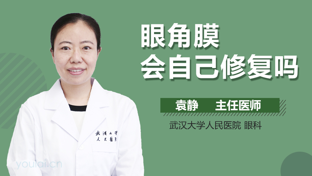 眼角膜会自己修复吗