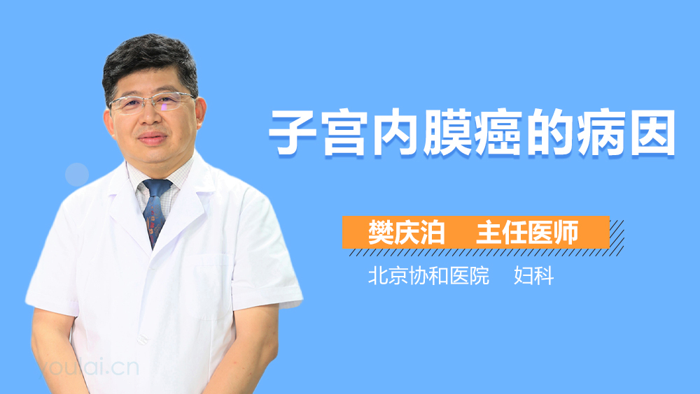 子宫内膜癌的病因