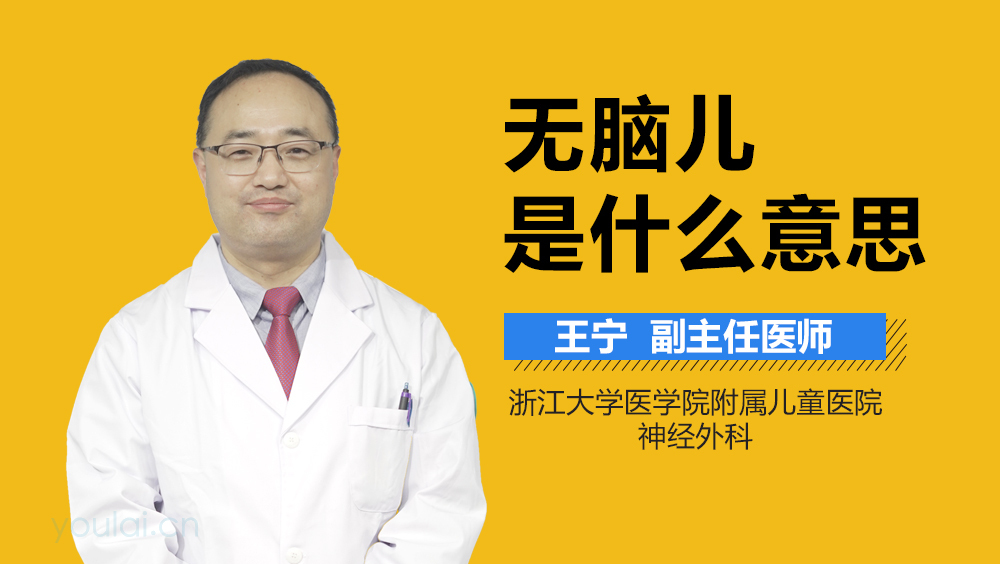 无脑儿是什么意思