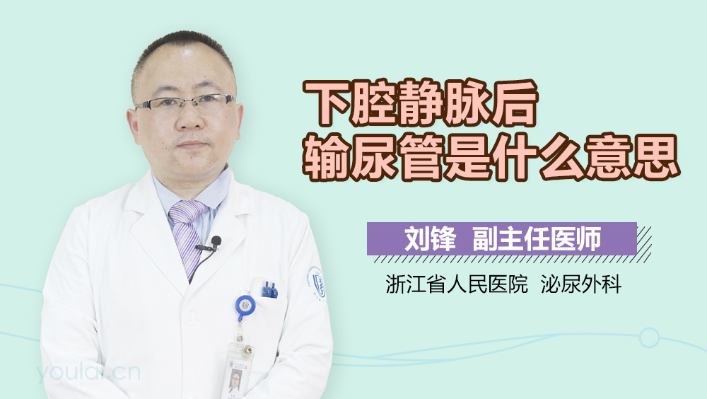 下腔静脉后输尿管是什么意思