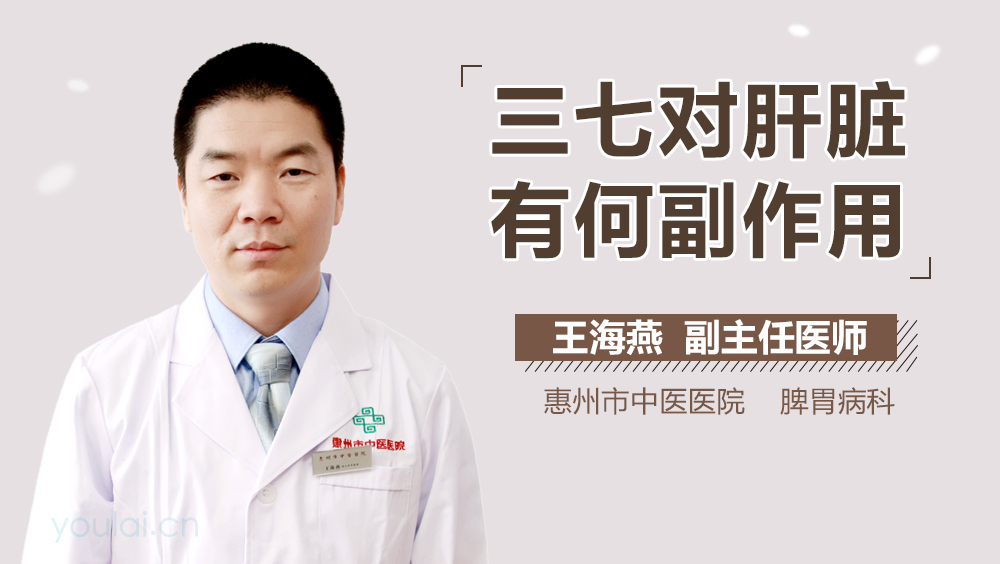 三七对肝脏有何副作用