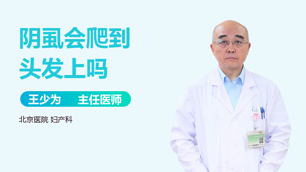 阴虱会爬到头发上吗