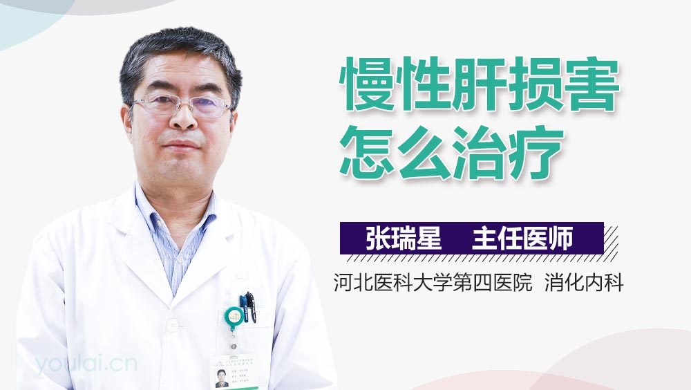 慢性肝损害怎么治疗