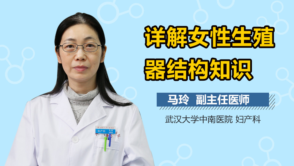 详解女性生殖器结构知识