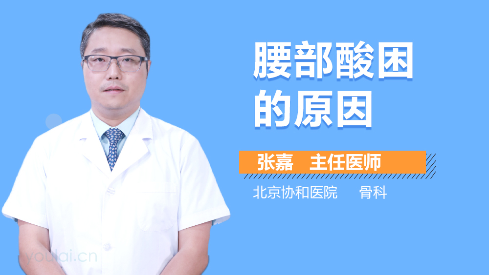 腰部酸困的原因