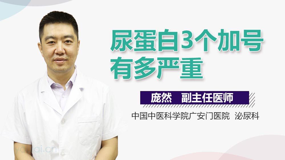 尿蛋白3个加号有多严重